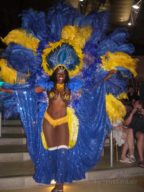 Brasil Show (88)